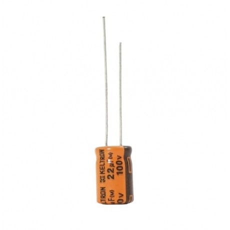 22uF/100V...